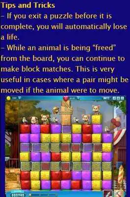 Play Guide for Pet Rescue Sage
