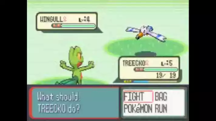 Play Guide for Pokemon Ruby