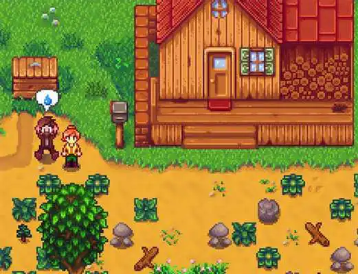 Play Guide for Stardew Valley Switch Edition
