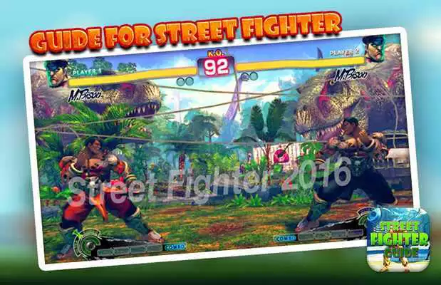 Play Guide For Street Fighters