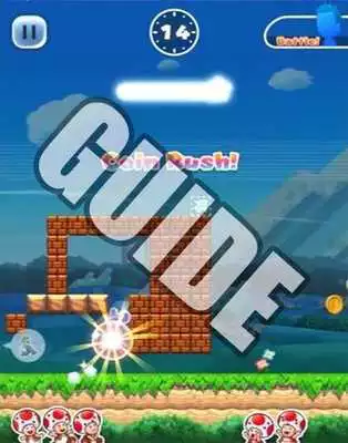 Play Guide for Super Mario Brothers