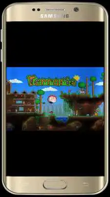 Play Guide for Terraria
