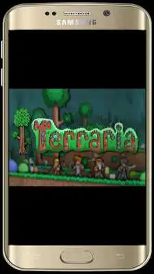 Play Guide for Terraria