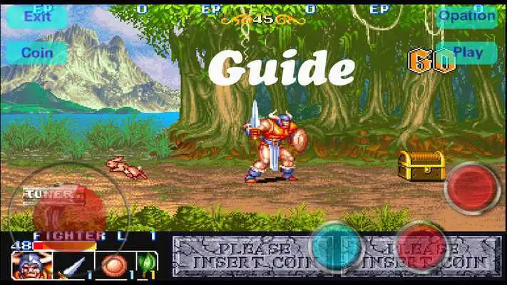 Play Guide for the King of Dragons