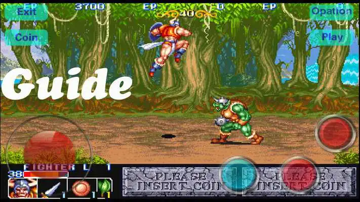 Play Guide for the King of Dragons