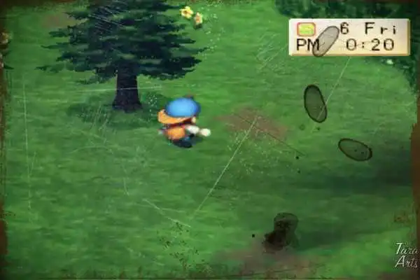 Play Guide Harvest Moon 2