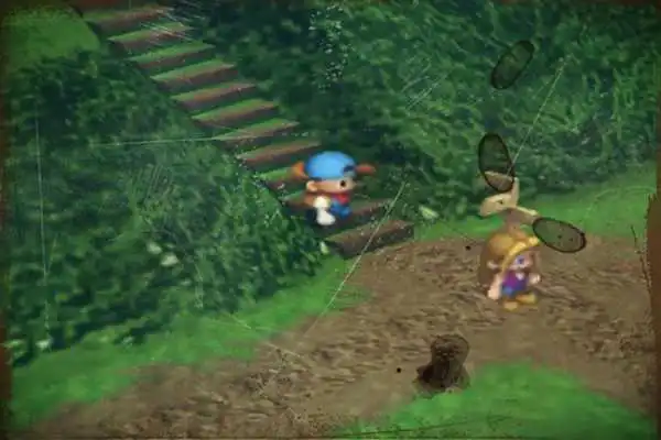 Play Guide Harvest Moon 2