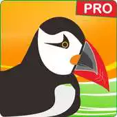Free play online Guide : New Puffin Web Browser Pro Tips 2017 APK