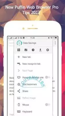 Play Guide : New Puffin Web Browser Pro Tips 2017 Play Guide : New Puffin Web Browser Pro Tips 2017