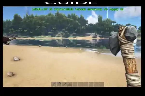 Play Guide of Ark survival evolved