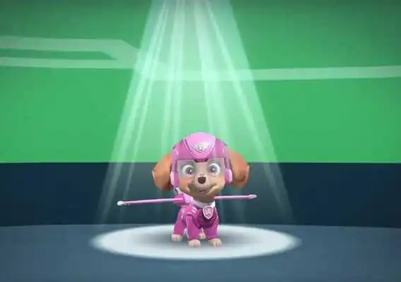 Play Guide Paw Patrol