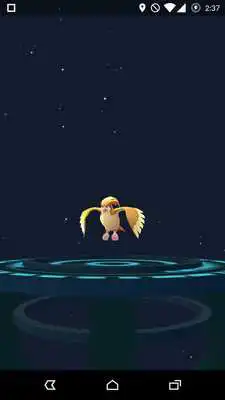 Play Guide Pokemon Go Work