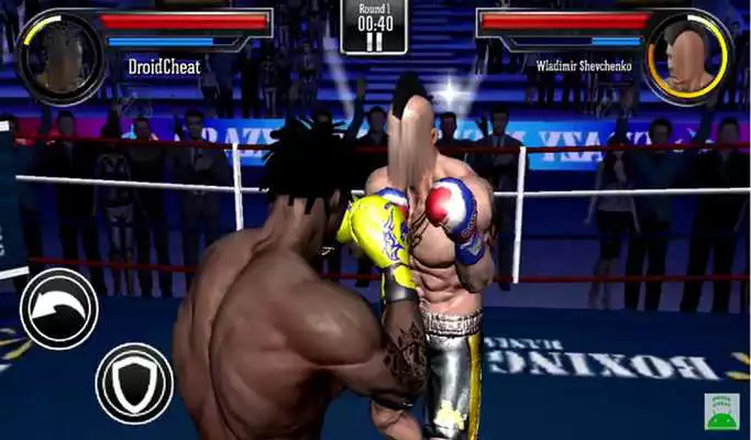 Play Guide Punch Boxing 3D
