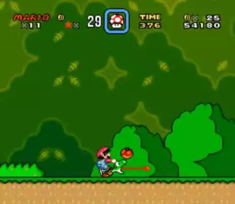 Play Guide Super Mario World