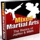 Free play online Guide to Cage fighting MMA APK