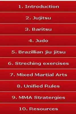 Play Guide to Cage fighting MMA