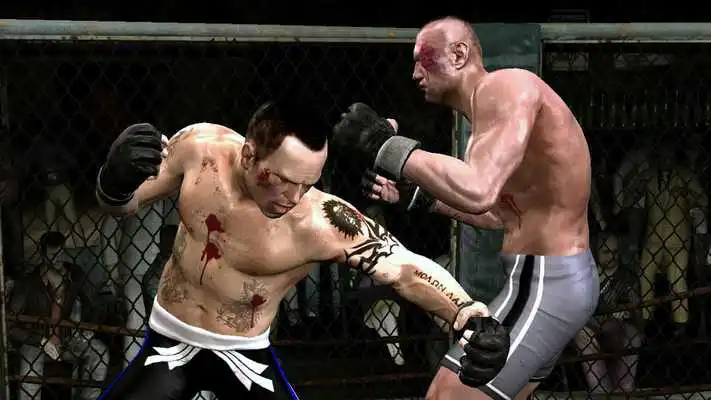 Play Guide to Cage fighting MMA