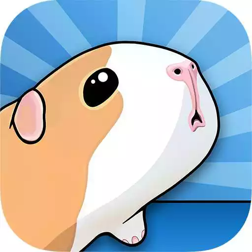 Free play online Guinea Pig Bridge! APK Free play online Guinea Pig Bridge! APK