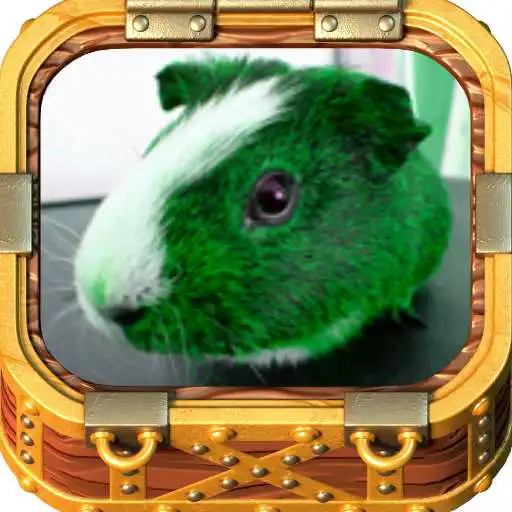 Free play online Guinea Pigs APK Free play online Guinea Pigs APK