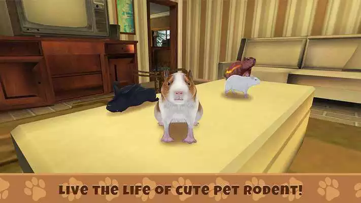 Play Guinea Pig Simulator: House Pet Survival