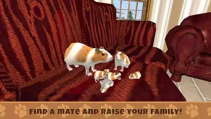 Play Guinea Pig Simulator: House Pet Survival