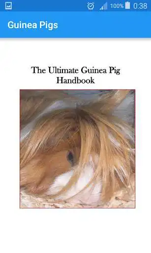 Play Guinea Pigs