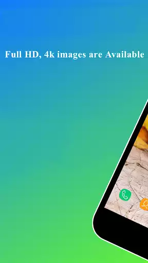 Play Guinea pig Wallpaper  and enjoy Guinea pig Wallpaper with UptoPlay