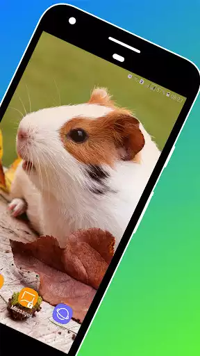 Play Guinea pig Wallpaper as an online game Guinea pig Wallpaper with UptoPlay