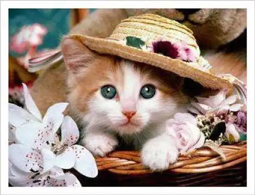 Play Gulfport Florist