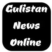 Free play online Gulistan News Live Stream APK