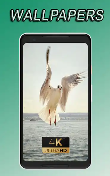 Play gull nice view awesome beauty Wallpaper as an online game gull nice view awesome beauty Wallpaper with UptoPlay