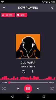 Play Gul Panra Songs - MP3