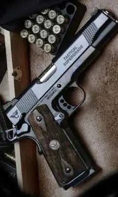 Play Gun Shooting Free