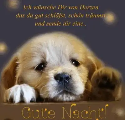 Play Gute Nacht Bilder 2023  and enjoy Gute Nacht Bilder 2023 with UptoPlay