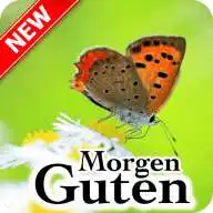 Free play online Guten Morgen 7 Tage  APK
