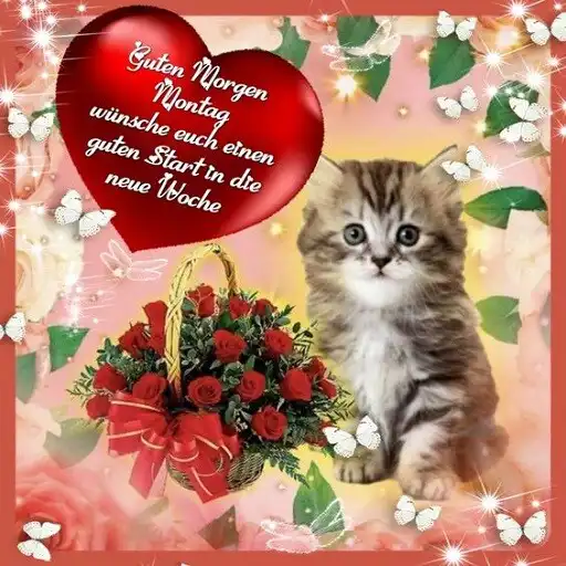 Play Guten Morgen am Montag APK