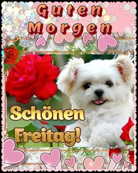 Play Guten Morgen Freitag  and enjoy Guten Morgen Freitag with UptoPlay
