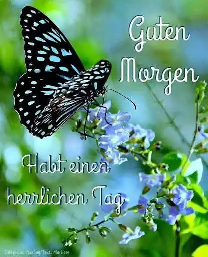 Play Guten Morgen GIF as an online game Guten Morgen GIF with UptoPlay