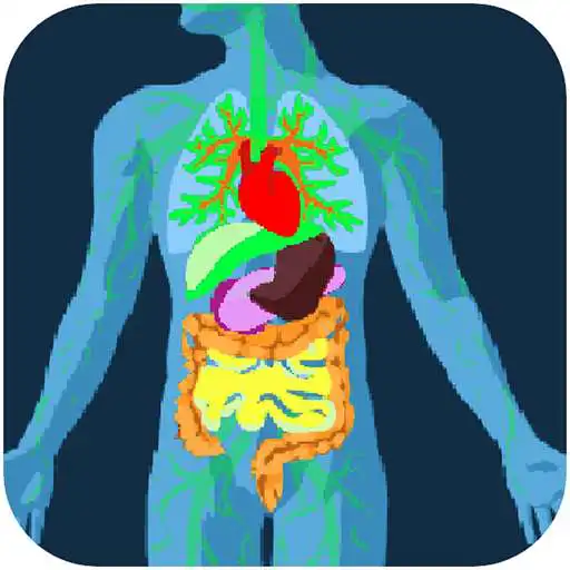 Free play online Gut Microbiome APK Free play online Gut Microbiome APK