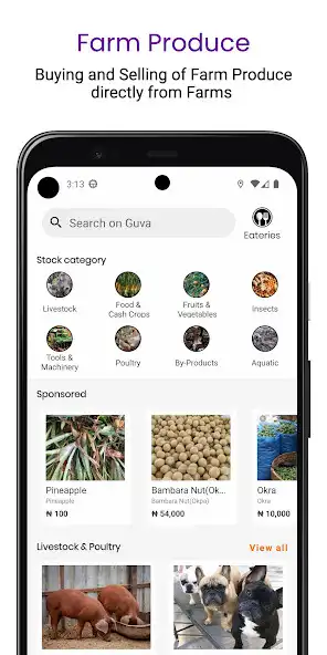Play Guva  and enjoy Guva with UptoPlay