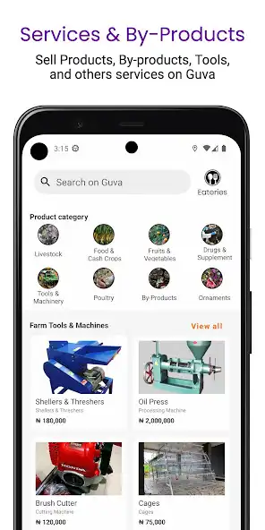 Play Guva as an online game Guva with UptoPlay