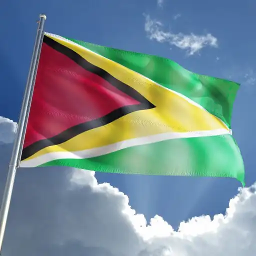 Play Guyana flag APK