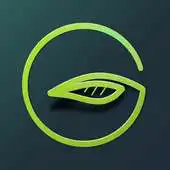 Free play online GWheels Driver APK