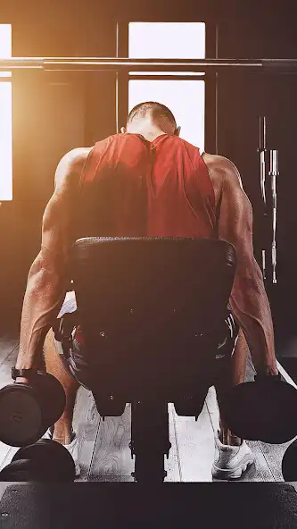 Play GymChad  and enjoy GymChad with UptoPlay