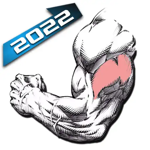 Play Gym Exercises  Workouts APK