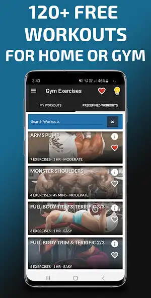 Play Gym Exercises  Workouts  and enjoy Gym Exercises  Workouts with UptoPlay