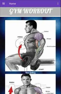 Play Gym Fitness Exercises