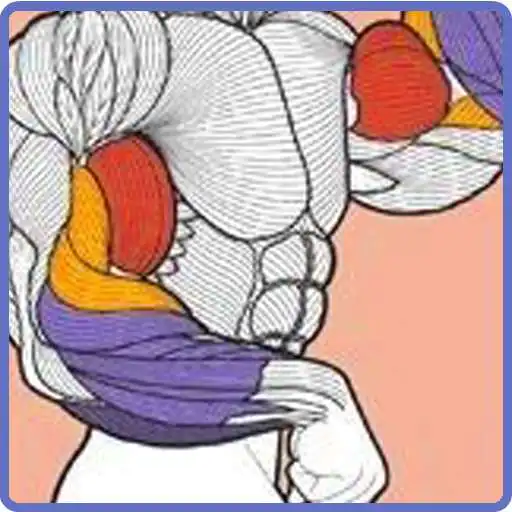 Play Gym Guider Offline APK Play Gym Guider Offline APK