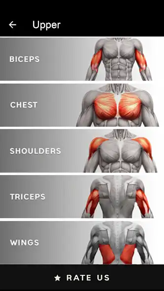 Play Gym Workouts Fitness Trainings as an online game Gym Workouts Fitness Trainings with UptoPlay