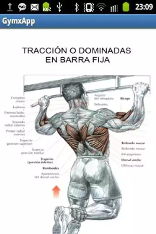 Play gymxapp
